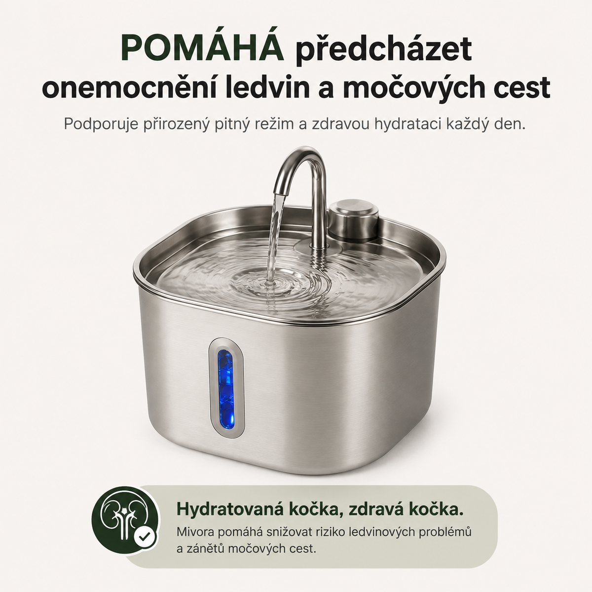 Proč může Mivora dávat větší smysl než obyčejná miska